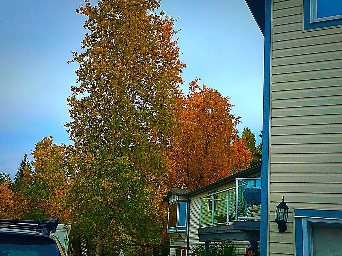 Mabuhay Lakeside Manor Bed and Breakfast Yellowknife Exteriör bild